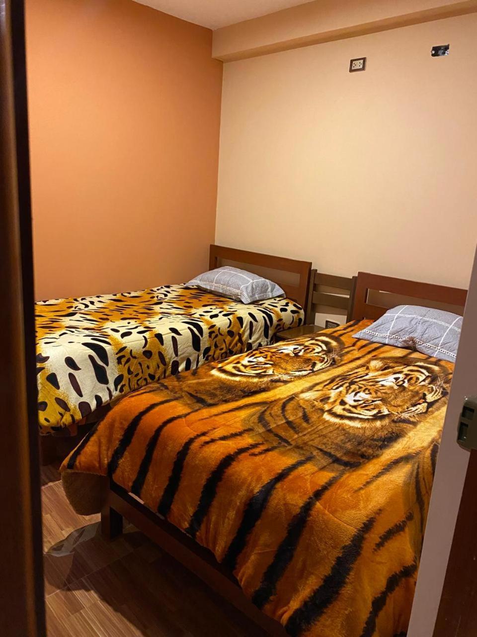 Aventura Chachapoyas Backpackers Hostel Eksteriør bilde